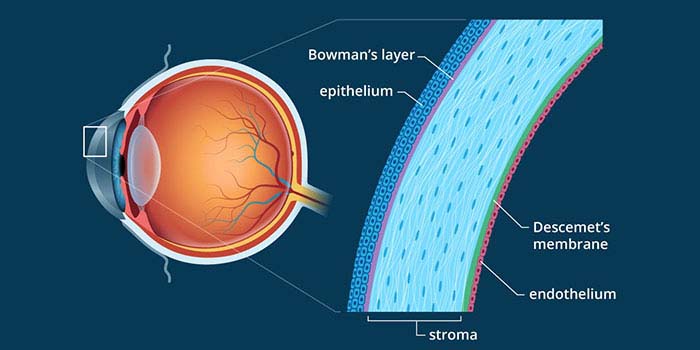 Cornea disorders and conditions treatment at all for eyes hospital, vashi, navi mumbai